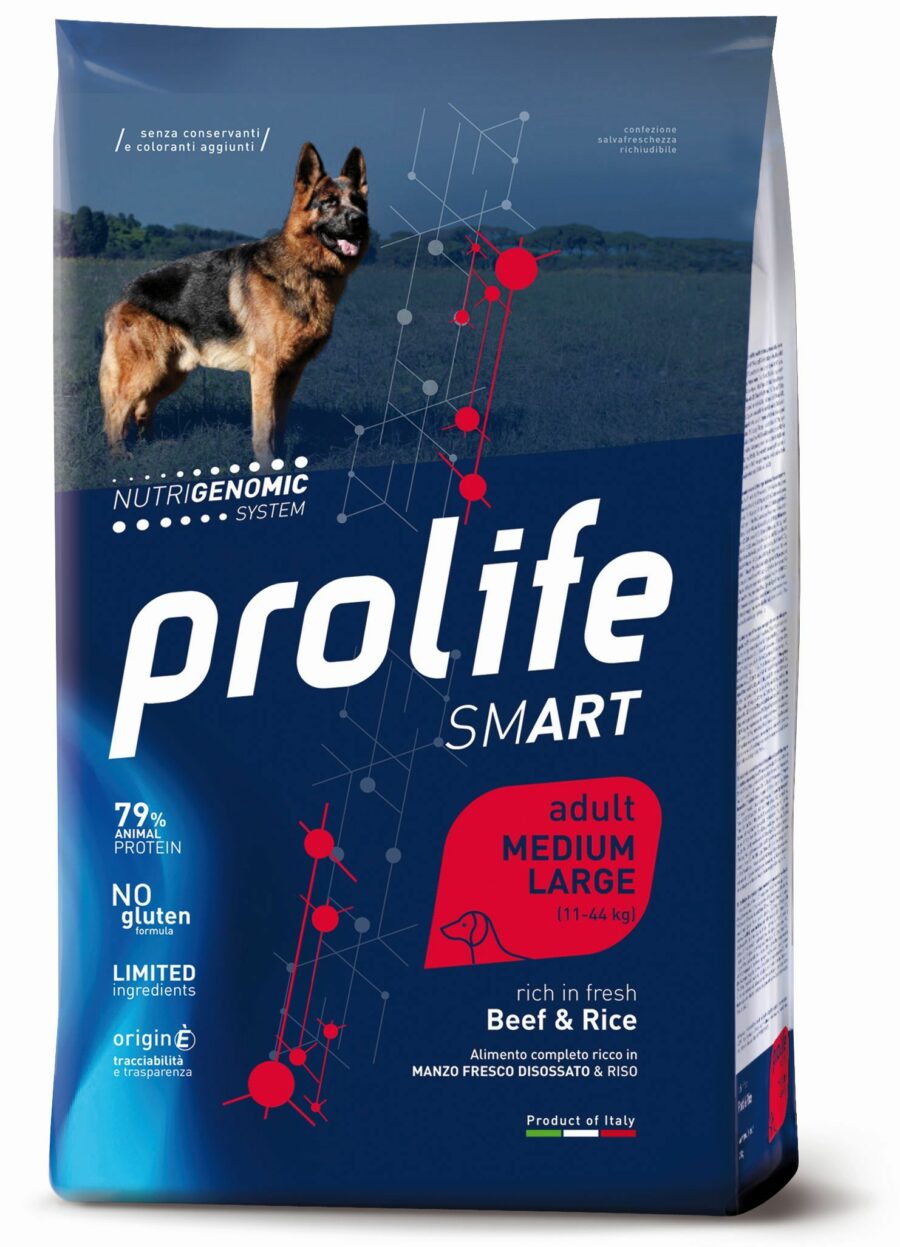 Smart Adult Beef & Rice - Medium/Large
