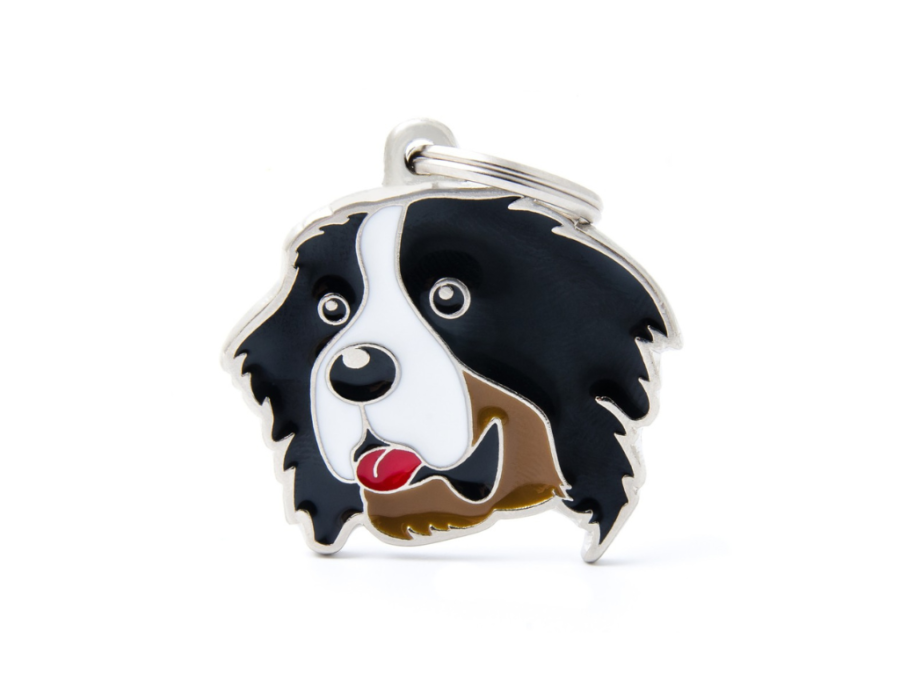 MEDAGLIETTA BERNESE