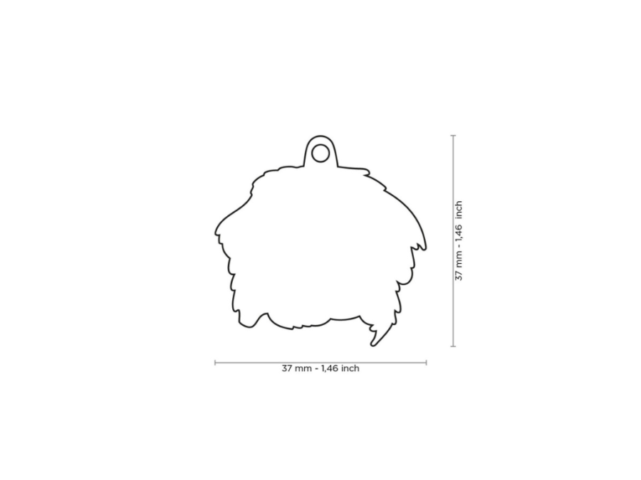 MEDAGLIETTA BERNESE - immagine 2