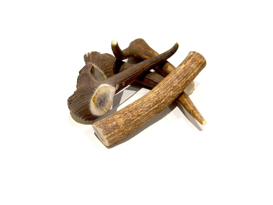CORNA DI CERVO SMALL 55-60GR 12CM/25