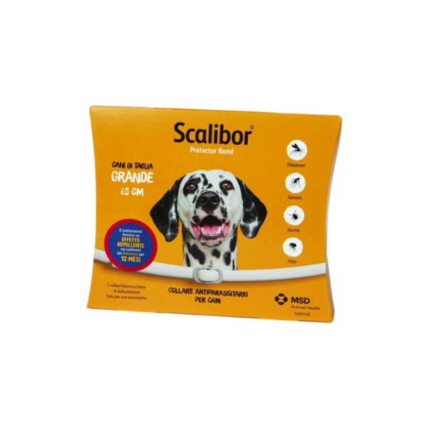 SCALIBOR COLLARE GRANDE 65CM
